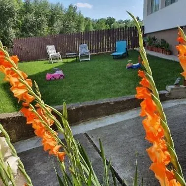 Gazde/Camere de închiriat Casa Sofia Baltatesti
