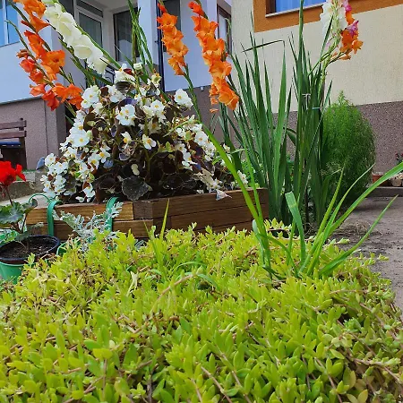Casa Sofia *