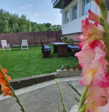 Gazde/Camere de închiriat Casa Sofia