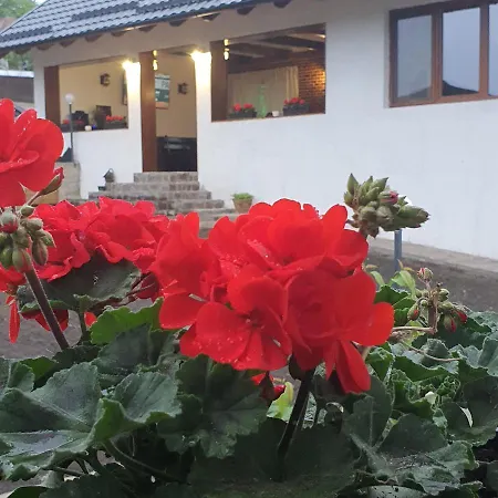 Casa Sofia *